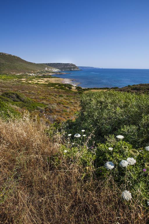 Residenza Solemar Villa Bosa Marina Kültér fotó